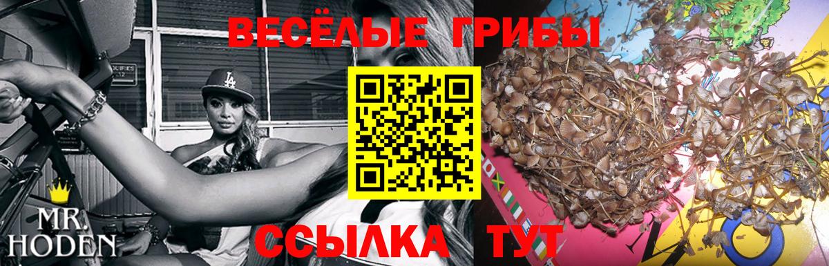 Псилоцибиновые грибы мицелий  магазин  наркотиков  Коломна  Вход с VPN 