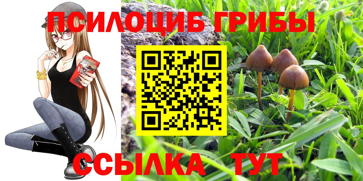 Псилоцибиновые грибы прущие грибы Коломна